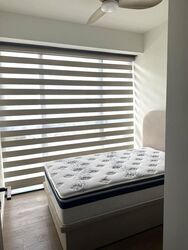 Tenet (D18), Condominium #515112771